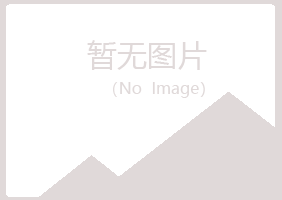 江门女孩采矿有限公司